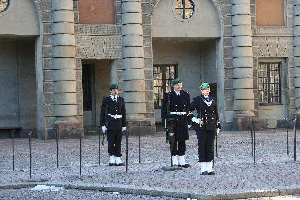 16-03c IMG_0094.JPG